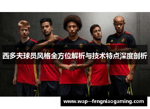 西多夫球员风格全方位解析与技术特点深度剖析