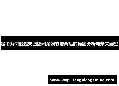 足协为何迟迟未归还剩余调节费背后的原因分析与未来展望