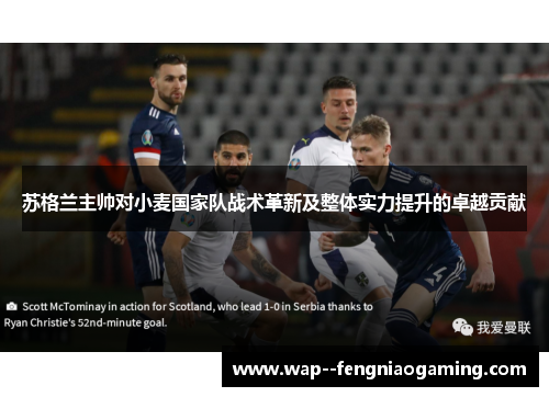 苏格兰主帅对小麦国家队战术革新及整体实力提升的卓越贡献