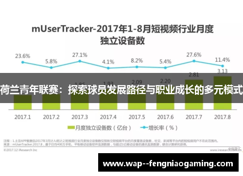 荷兰青年联赛：探索球员发展路径与职业成长的多元模式