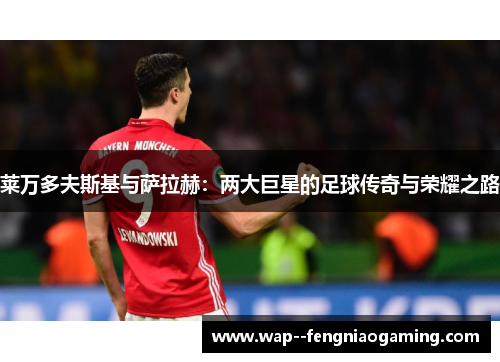 莱万多夫斯基与萨拉赫：两大巨星的足球传奇与荣耀之路