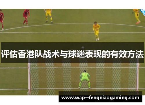 评估香港队战术与球迷表现的有效方法