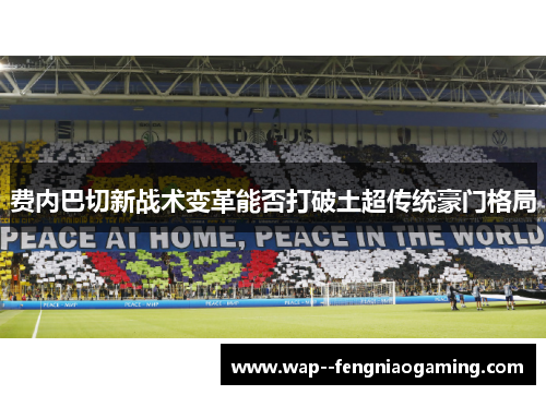 费内巴切新战术变革能否打破土超传统豪门格局