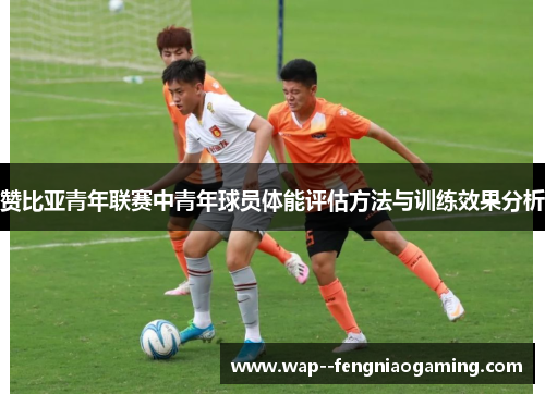 赞比亚青年联赛中青年球员体能评估方法与训练效果分析