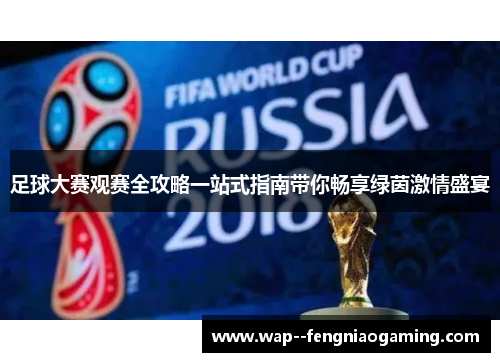 足球大赛观赛全攻略一站式指南带你畅享绿茵激情盛宴