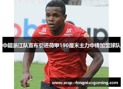 中超浙江队宣布引进荷甲190厘米主力中锋加盟球队